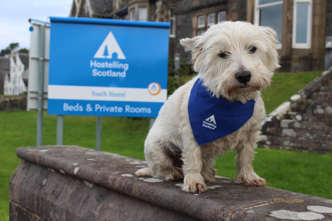 Oban Youth Hostel Bagian luar foto The West Highland White Terrier is the official dog of the AA